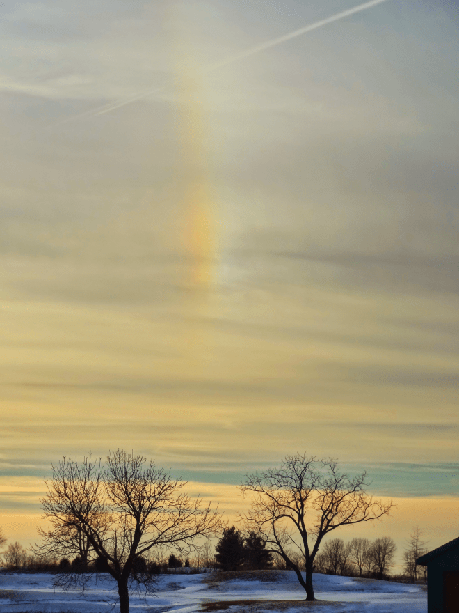 Winter Sun Dog